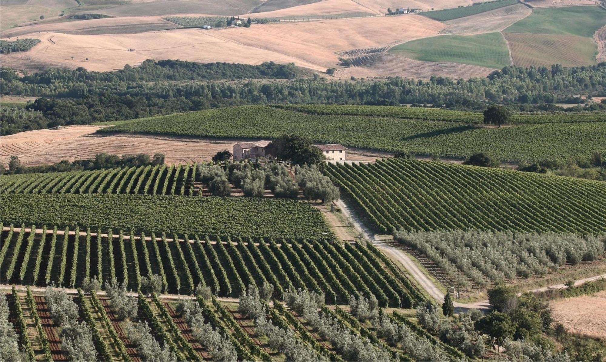 Agriturismo Il Poggione Montalcino Buitenkant foto